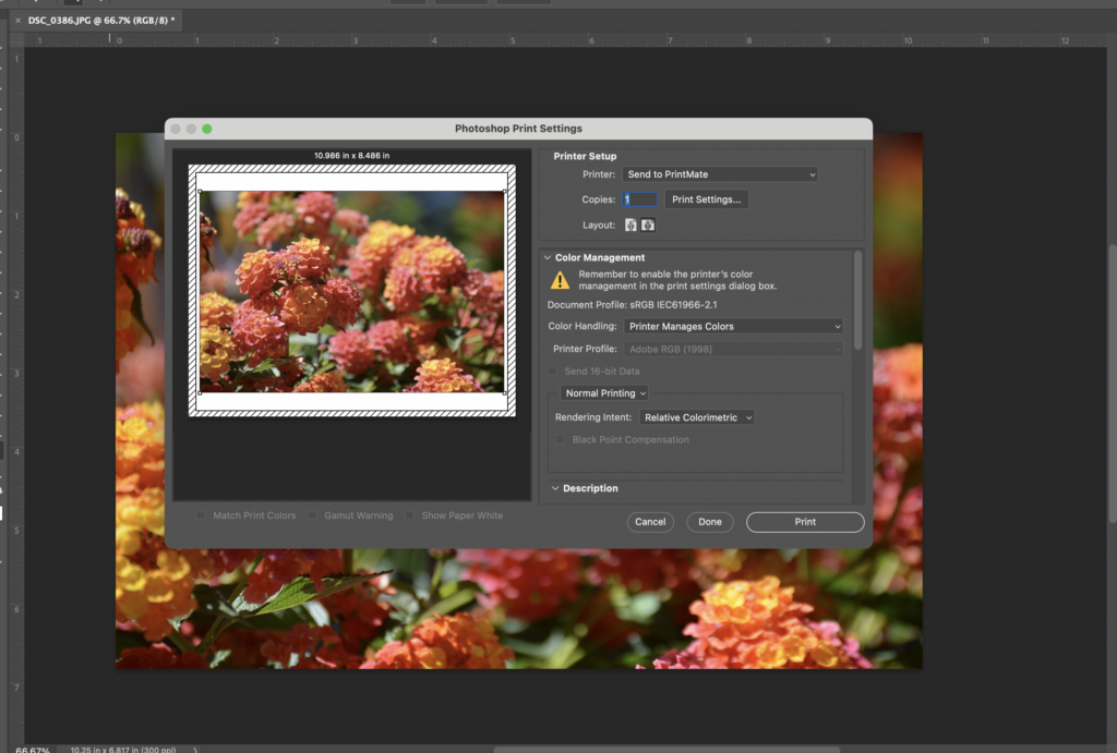 Tech Tip: Sending Files to Sawgrass Print Utility - Sawgrass Technologies