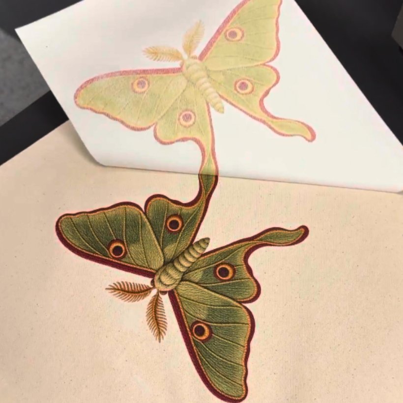 LUNA MOTH